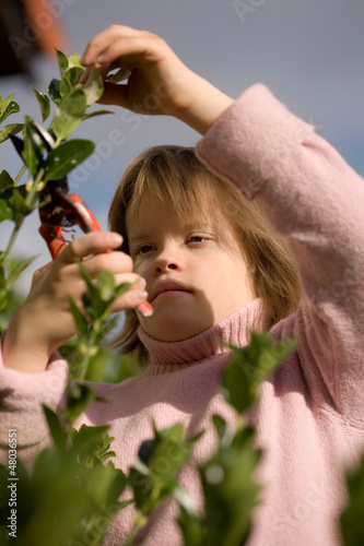 A girl with Down syndrome pruning a tree.
