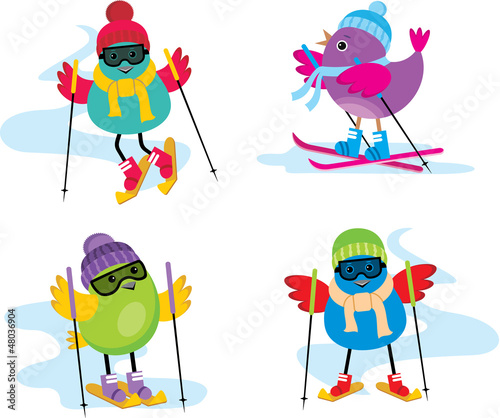 Skiing birds