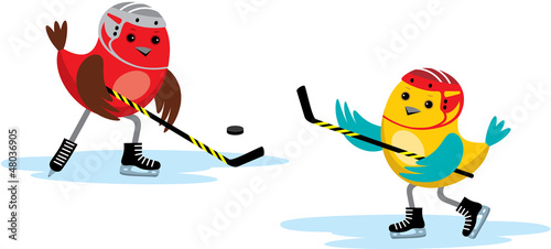 Birds play hockey