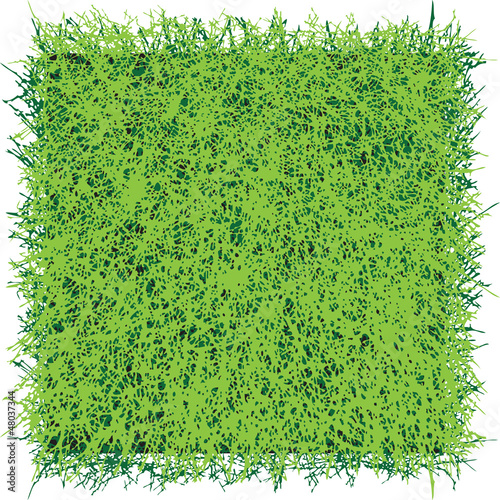 Grass sod