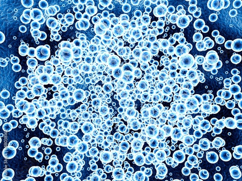blue cells