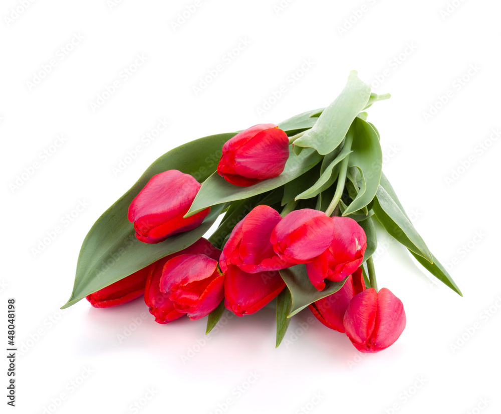 Lying red tulips bouquet