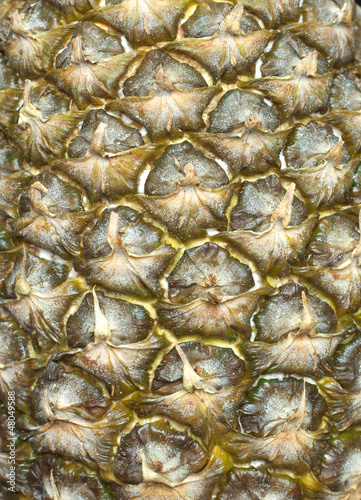 Fresh pineapple fruit as background closeup