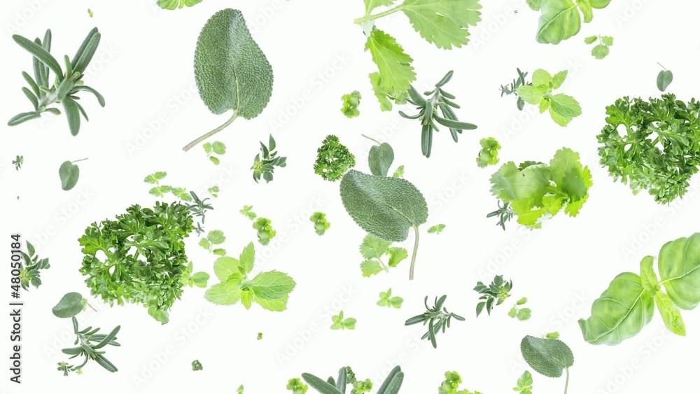 Herbs falling down on white background
