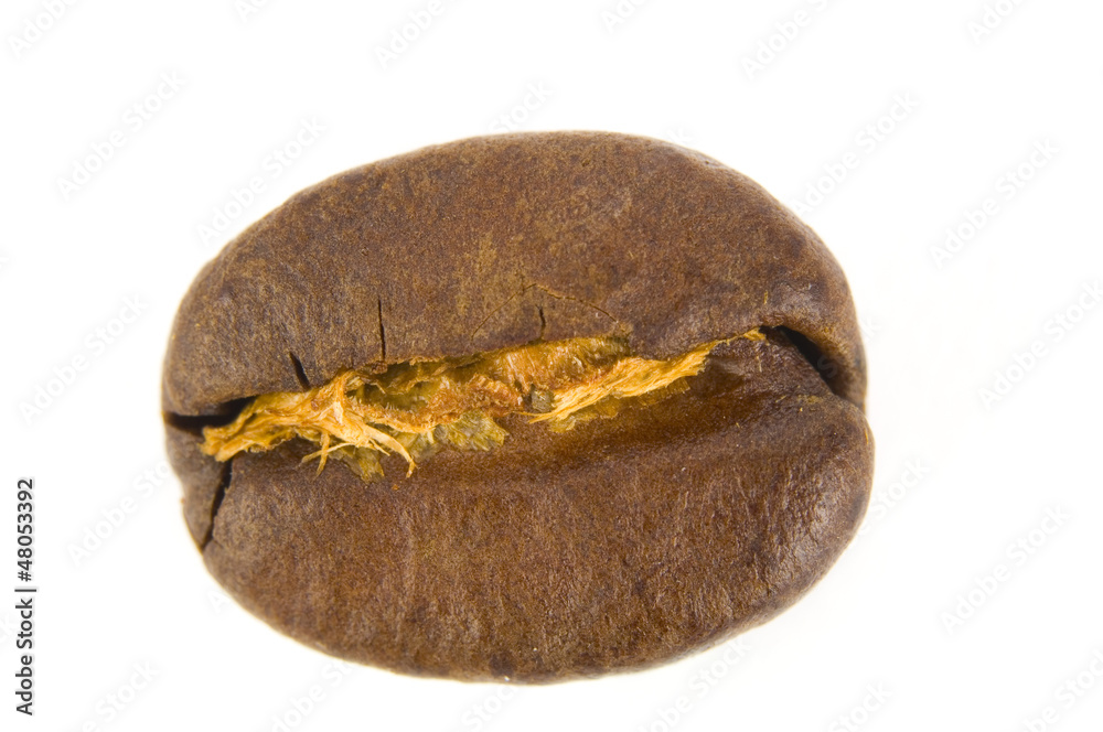 Obraz premium Kaffeebohnen