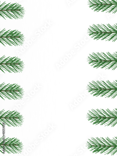 pine branches with empty space