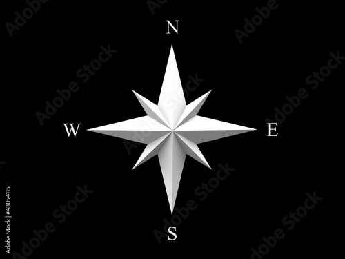 Wind rose