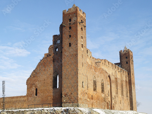 Castle in Radzyn Chelminski photo