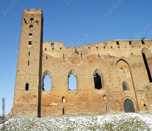 Castle in Radzyn Chelminski photo