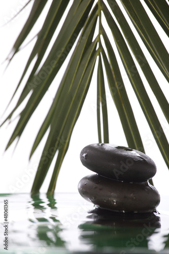 Grean leaves over zen stones pyramid on water surface 
