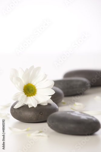 Spa still life with white flowers 