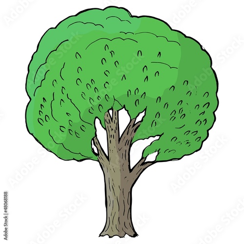 Hand drawn, vector, cartoon illustration of poplar