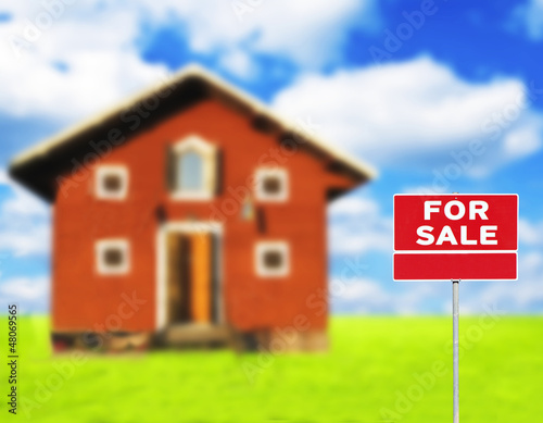 "FOR SALE" sign against wooden house on beautiful meadow in back