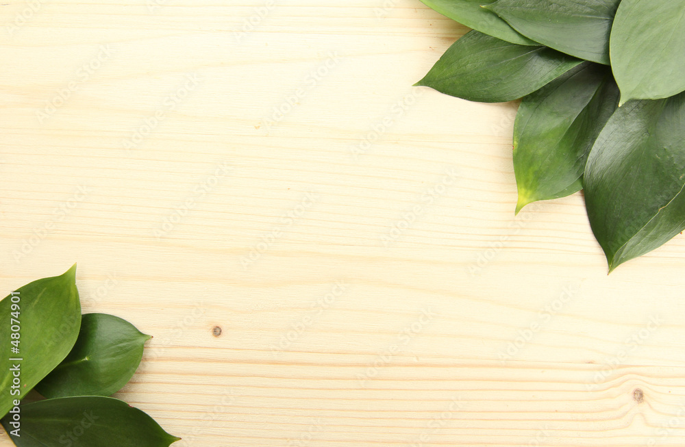 beautiful green leaves, on wooden background beautiful green leaves, on wooden background
