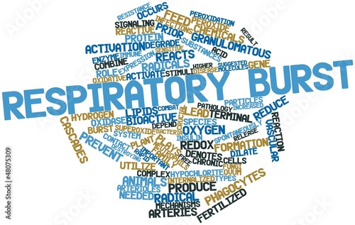 Word cloud for Respiratory burst photo