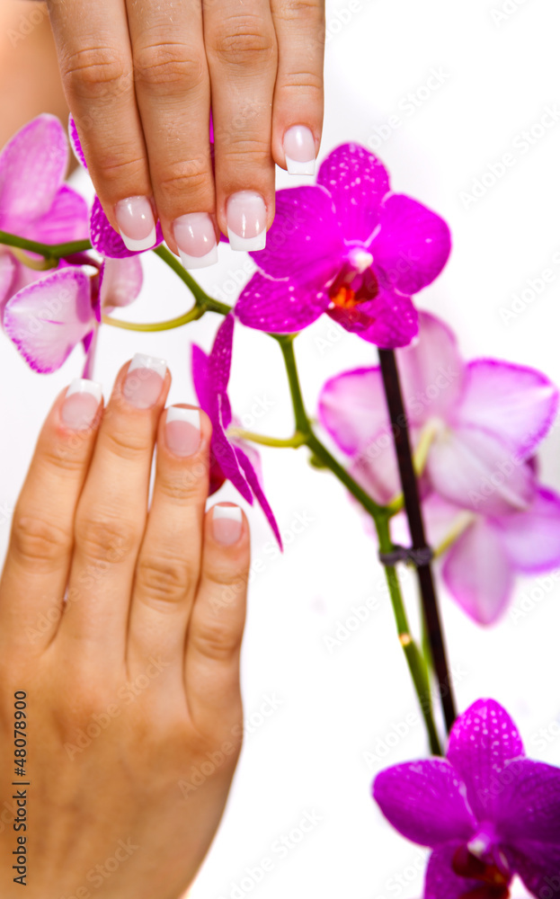 Fototapeta premium Woman's french manicure and pedicure 