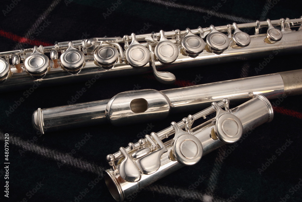Naklejka premium flute