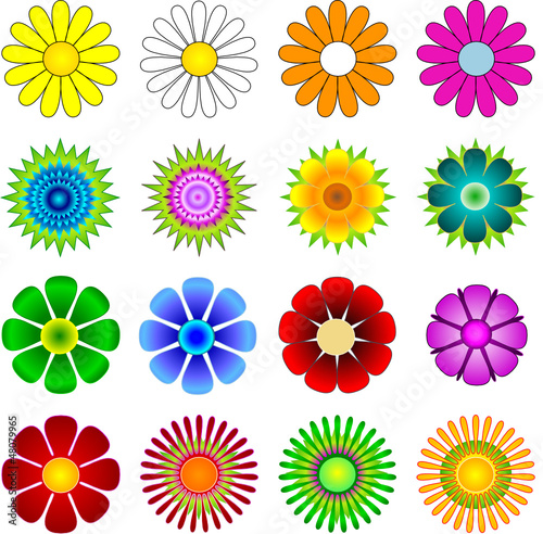 Bunte Sommer Blumen Blüten