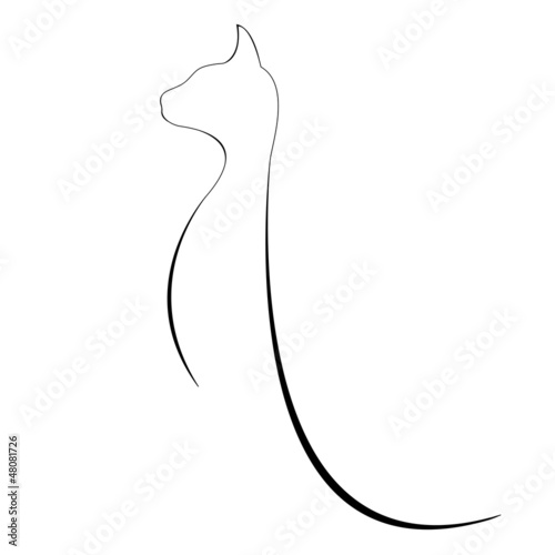 contour cats