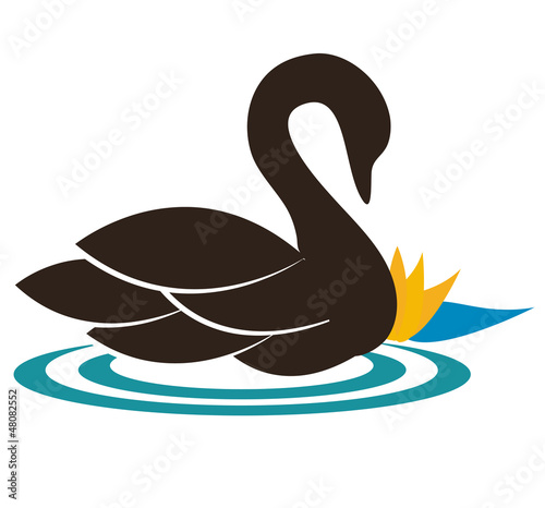 Beautiful swan illustration swimming near the water lily