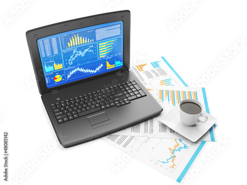 Laptop with business charts and group sheets with accounting