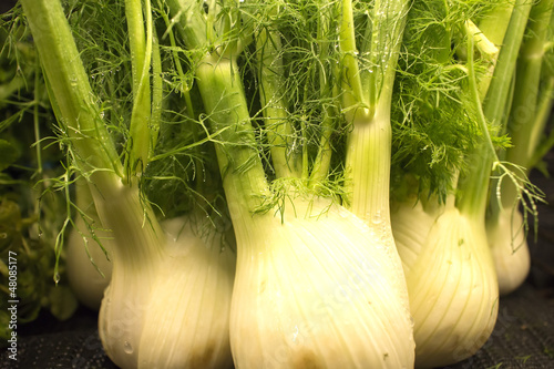 fresh fennel at the market