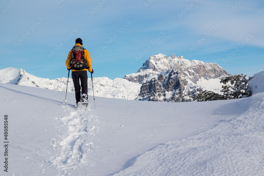 Schneeschuhwanderung in den Alpen