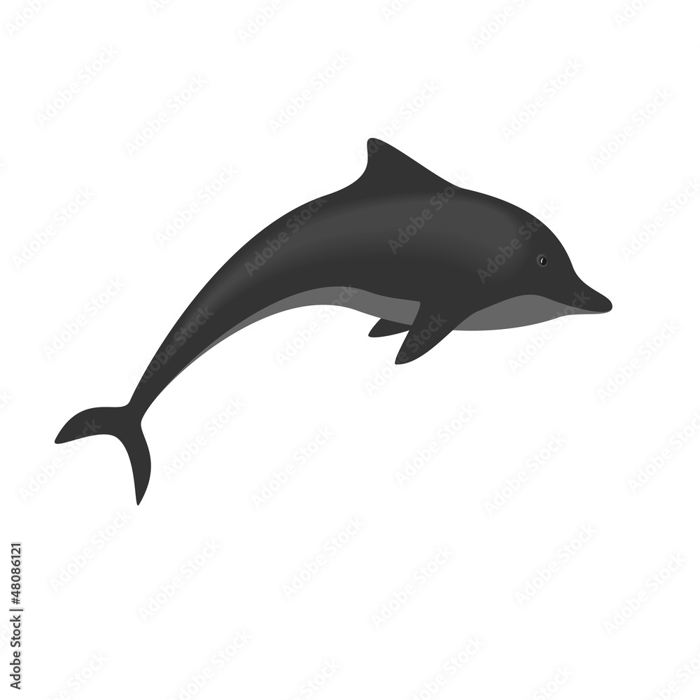 Fototapeta premium Dolphin isolated on white background, vector illustration