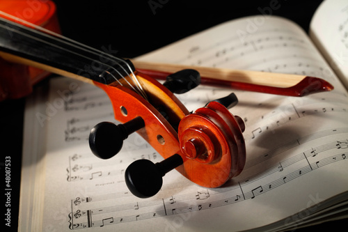 violino photo