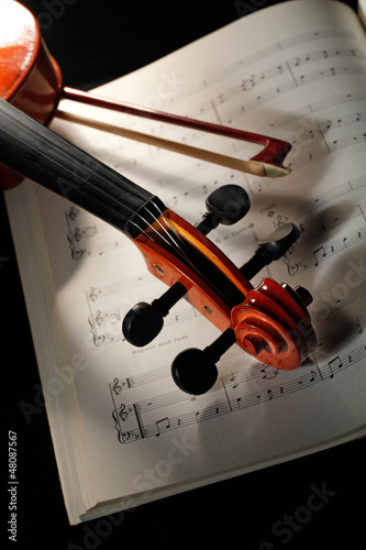 violino photo