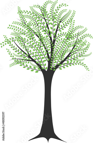 tree