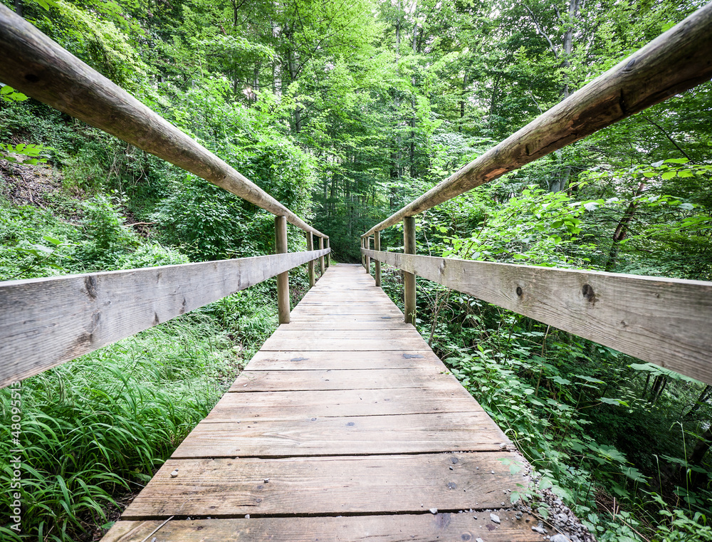 old footbridge old footbridge
