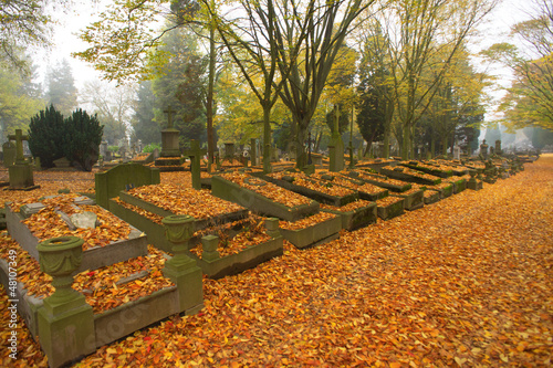 Autumn morning 2