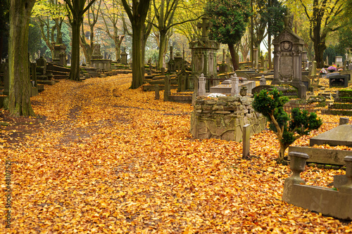 Cemetery in Autumn