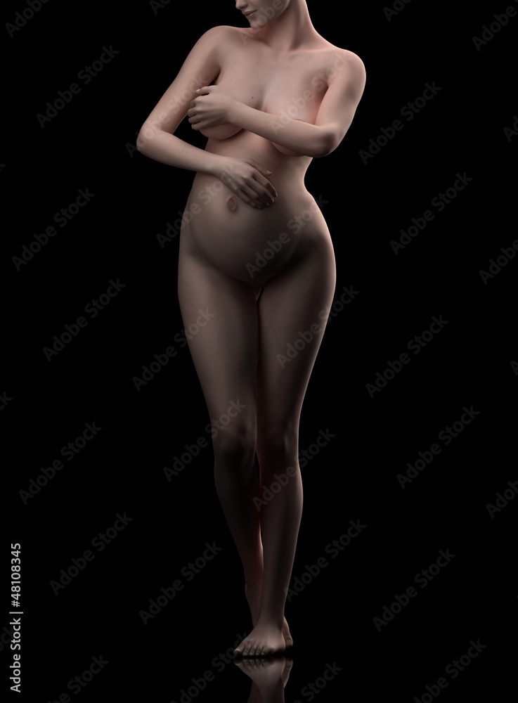 Naklejka premium Pregnant woman anterior view cgi