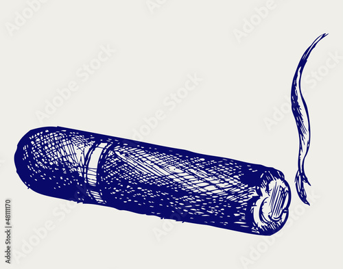 Havana cigar burned. Doodle style