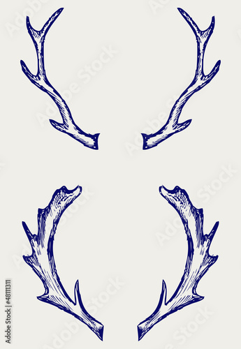 Deer horns. Doodle style