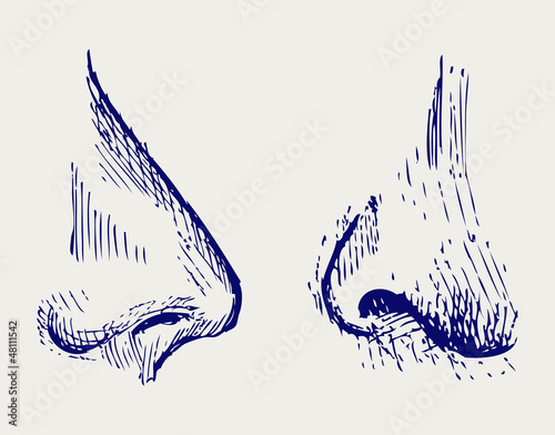 Nose. Doodle style