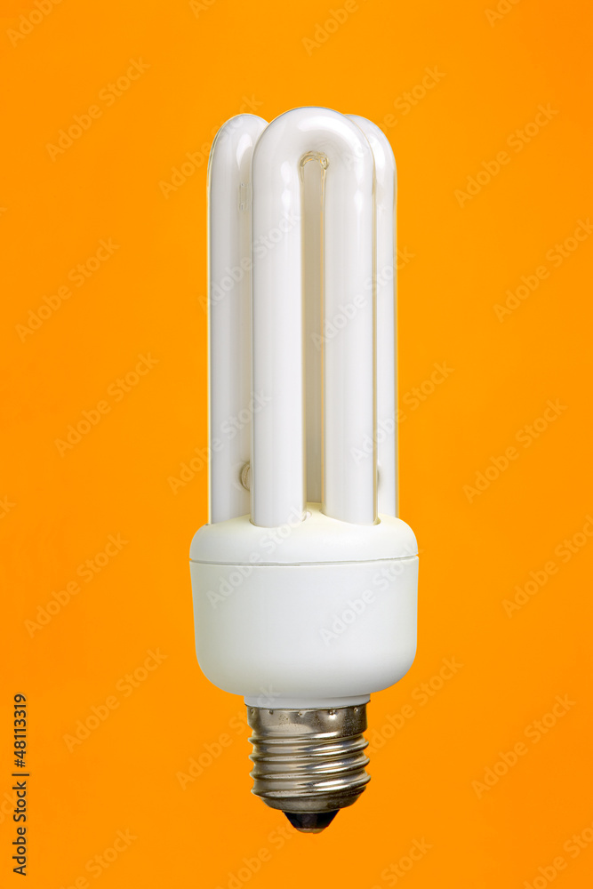 Fluorescent light bulb