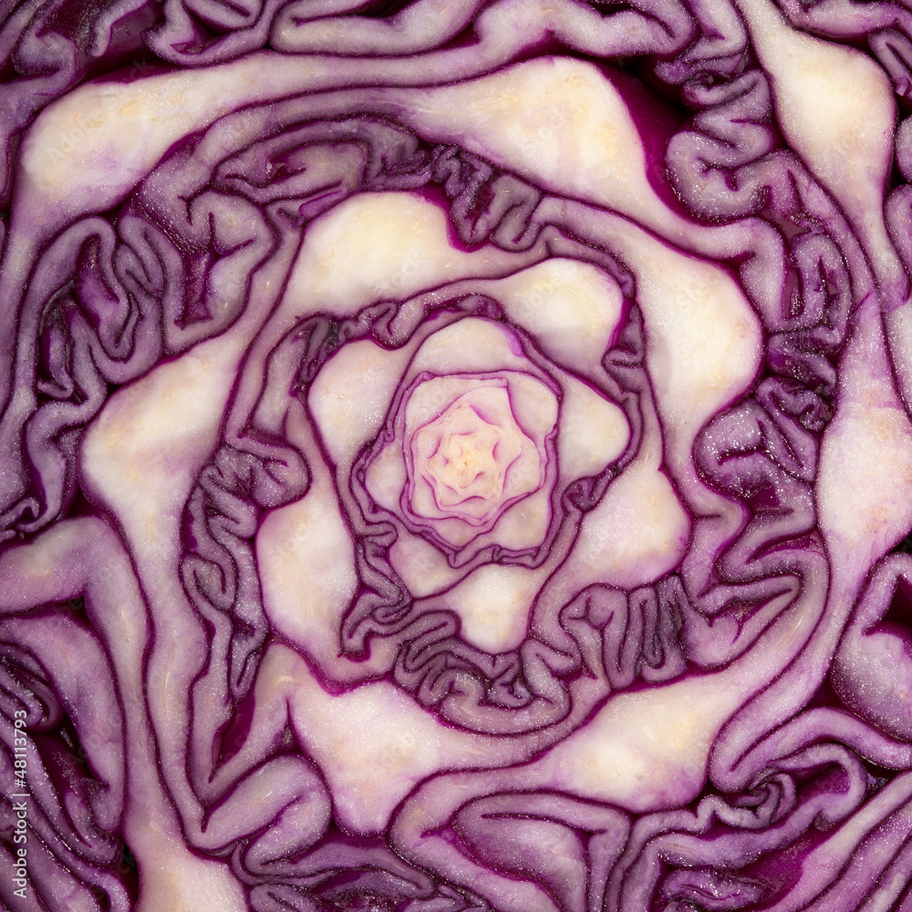 Obraz premium Cabbage cut