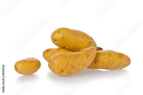 Fingerling Potatoes