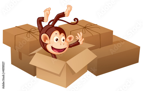 A smiling monkey and boxes