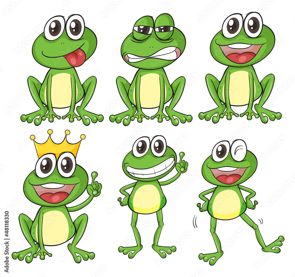 Obraz premium Green frogs