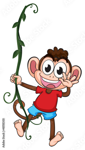 A monkey hanging on a plant