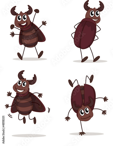 Smiling beetles
