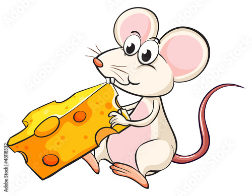 A mouse eating cheese