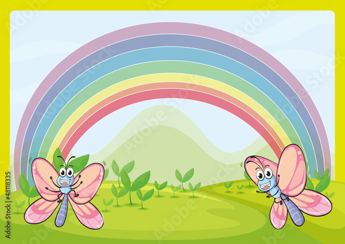 Flies and rainbow