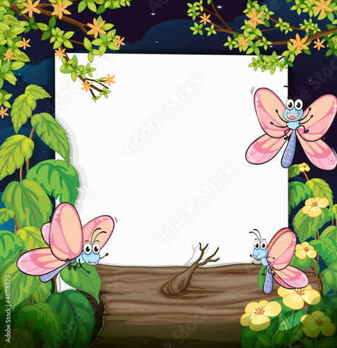 Butterflies and white board