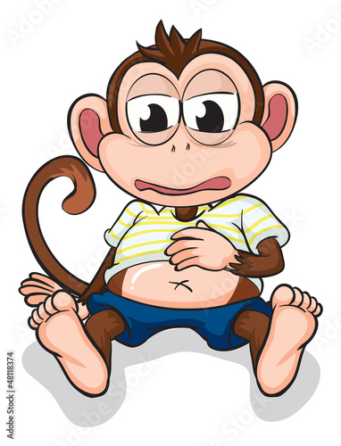 A monkey