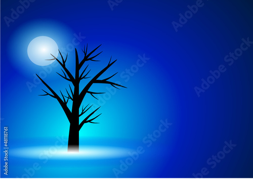 Baum Im Mondlicht Silhouette